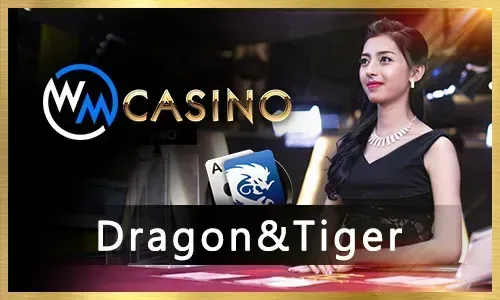 Taya365 Poker Games